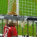 fcbsvw042016 (26)