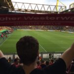 schal (12)