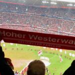 schal (13)