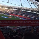 schal (19)