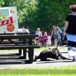 sommerfest2017-27