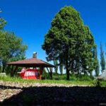 sommerfest2017-28