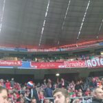 zaunfahne (8)
